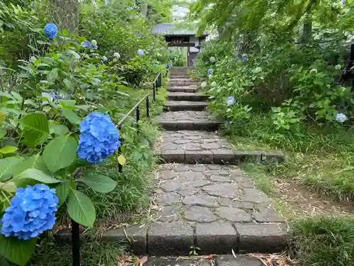 資福寺(宮城県)