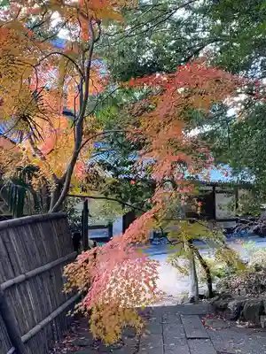 曹源寺(岡山県)