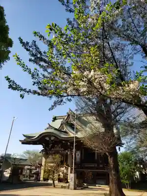 諏訪神社(東京都)