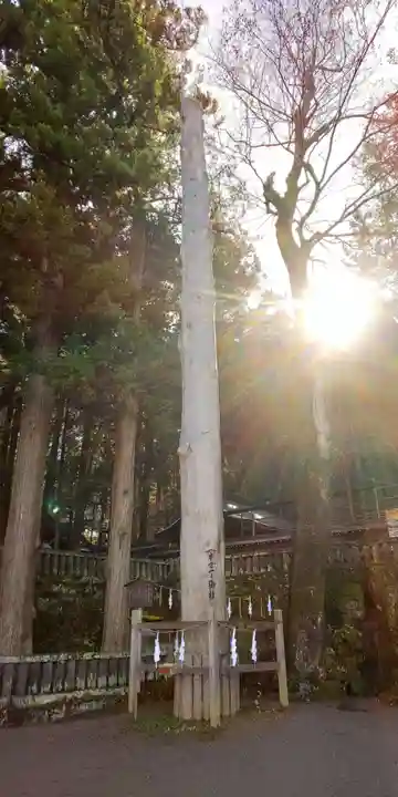 諏訪大社の自然