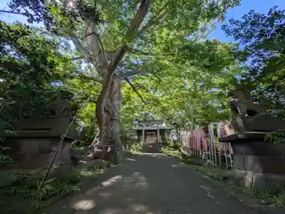 愛宕神社(福島県)