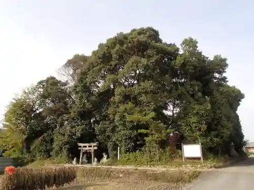 雲甘寺坐楢本神社の鳥居