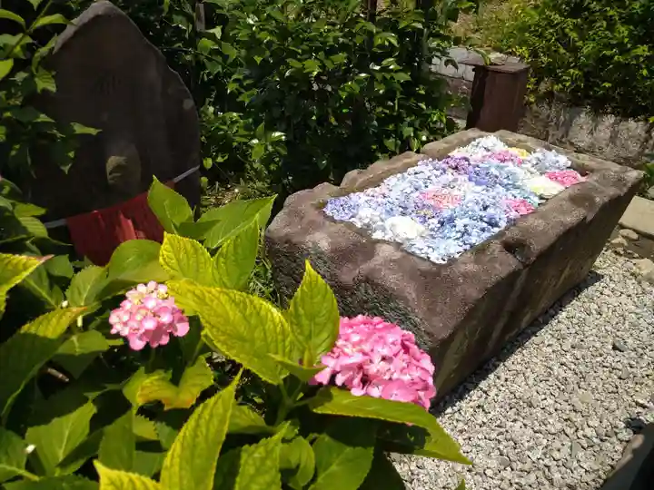 般若寺 ❁コスモス寺❁(奈良県)