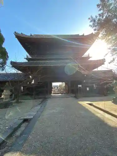 大樹寺（松安院大樹寺）の山門