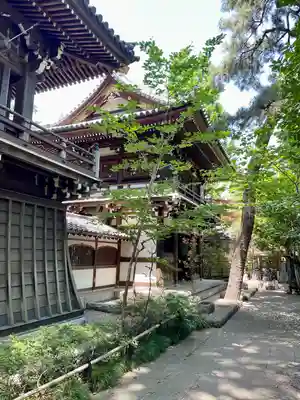 観音院(東京都)