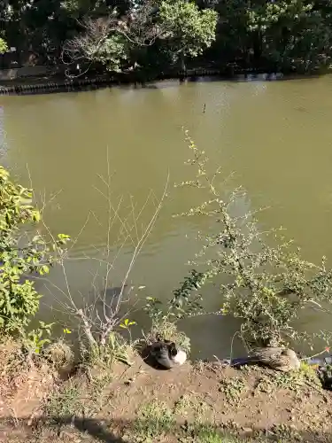 菊田神社の{uncategorized: "未分類", other: "その他", undefined: "問題あり", building: "その他建物", grave: "お墓", sacred_gate: "鳥居", guardian: "狛犬", statue: "像", buddha: "仏像", history: "歴史", nature: "自然", garden: "庭園", animal: "動物", pagoda: "塔", temizu: "手水舎", mountain_gate: "山門・神門", sanctuary: "本殿・本堂", subordinate: "末社・摂社", art: "芸術", scenery: "景色", jizo: "地蔵", ema: "絵馬", goshuin: "御朱印", omikuji: "おみくじ", items: "授与品その他", amulet: "お守り", goshuincho: "御朱印帳", eats: "食事", festival: "お祭り", votive_dance: "神楽", shichigosan: "七五三参", wedding: "結婚式", experience: "体験その他", initially: "初詣", around: "周辺", anti_infection: "感染症対策"}