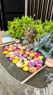 駒込妙義神社の手水舎