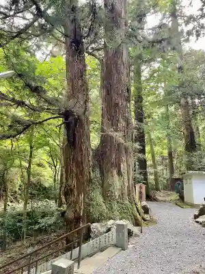 最乗寺奥の院（慈雲閣）(神奈川県)