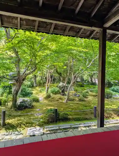 圓光寺(京都府)