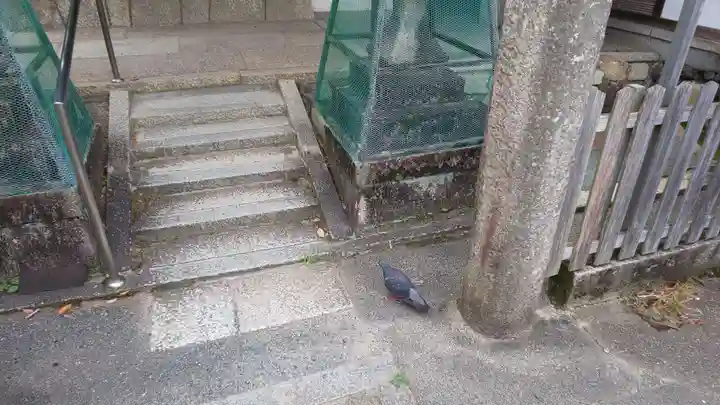 嚴島神社 (京都御苑)のその他建物