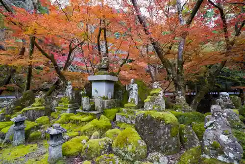 大寧寺(山口県)