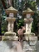 春日大社(奈良県)