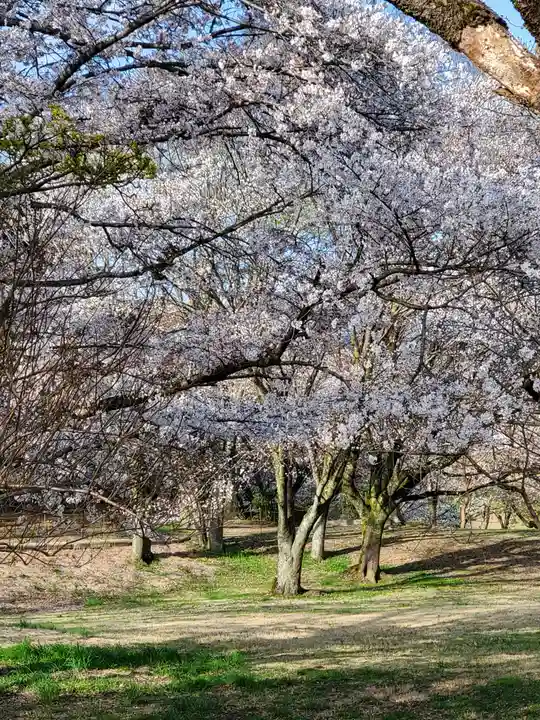 磯部稲村神社の自然