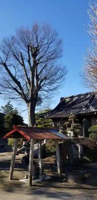 香取稲荷神社の建物その他