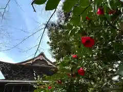 善光寺(長野県)