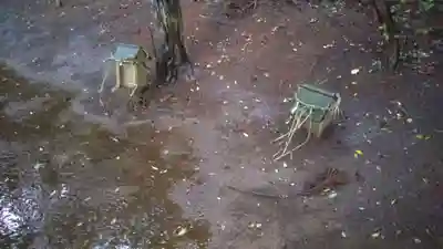 鹿島神社の自然