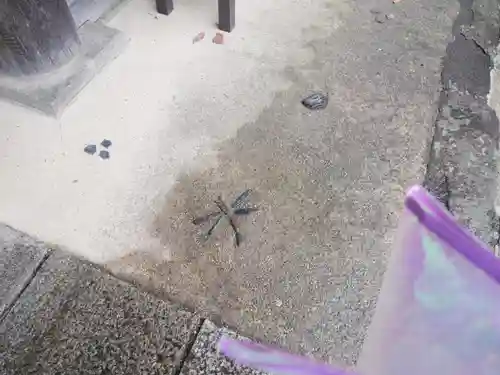 一宮寺(香川県)