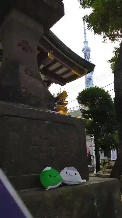 高木神社の周辺