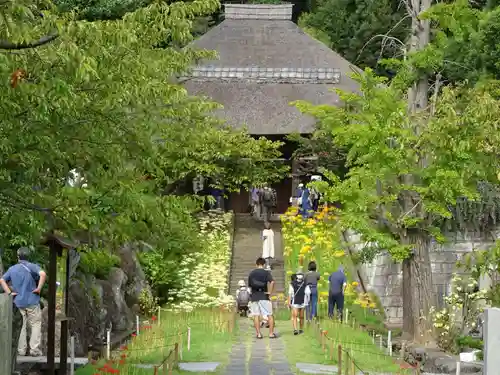 横浜　西方寺の山門・神門
