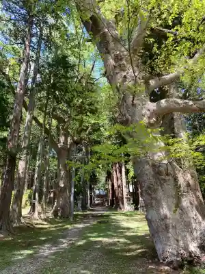 新海三社神社(長野県)
