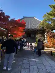 普元寺(愛知県)