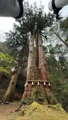 御岩神社(茨城県)