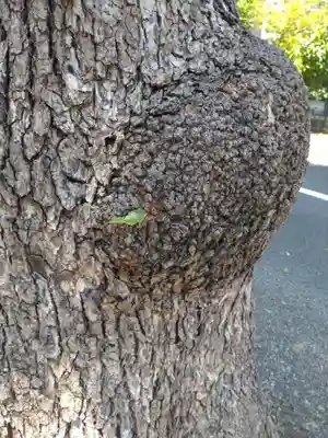 町田天満宮(東京都)