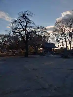 崇真寺(開運犬り切不動尊)の手水舎