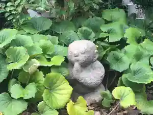 普元寺の像(2019年06月28日(金) 17時58分08秒投稿)