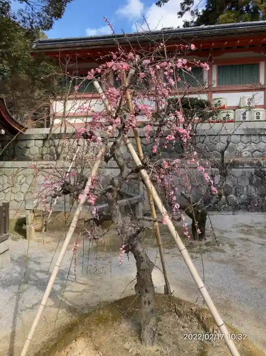 香椎宮(福岡県)