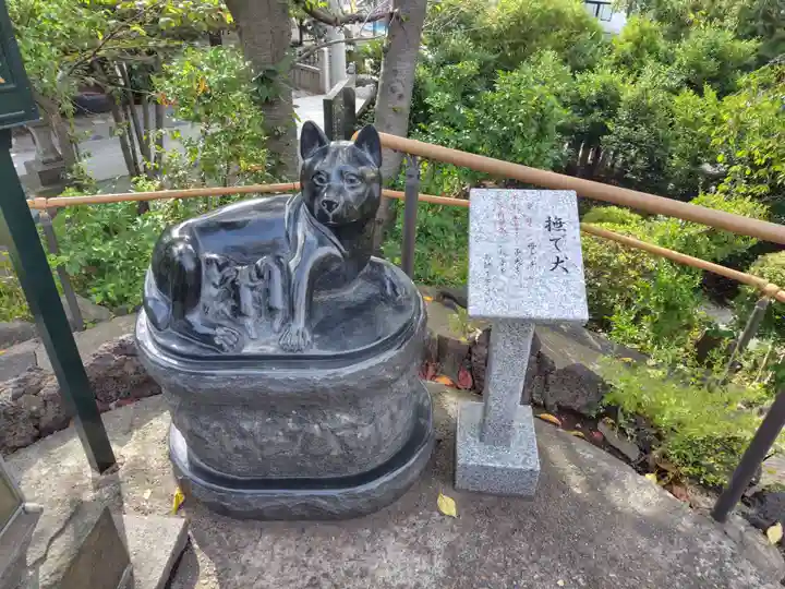 鎮守氷川神社の体験その他