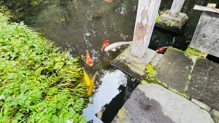 赤城神社(三夜沢町)(群馬県)