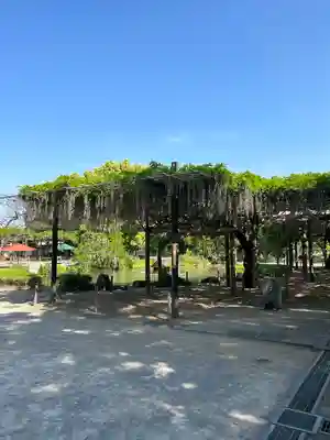 大天白神社(埼玉県)