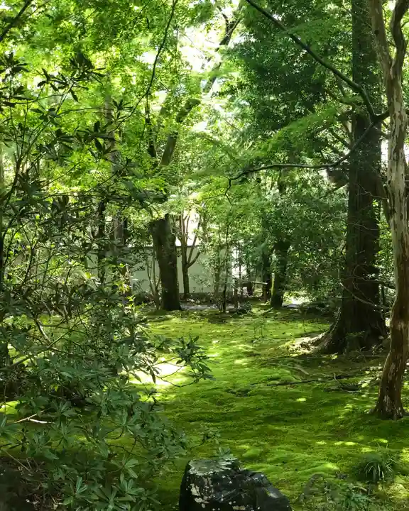 蓮華寺(洛北蓮華寺)のその他建物