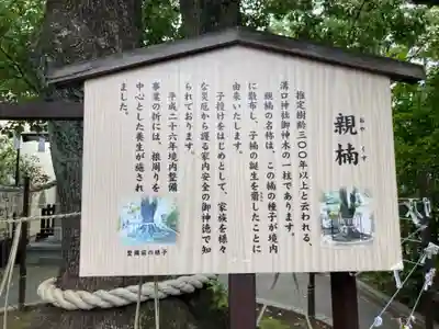 溝口神社(神奈川県)