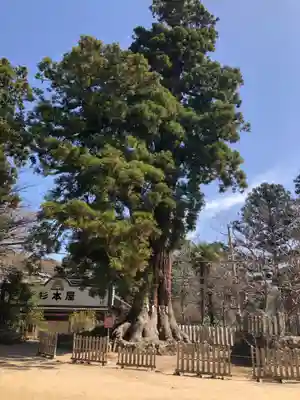 筑波山神社(茨城県)