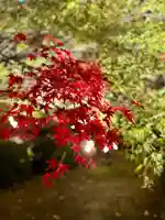 東寺(教王護国寺)(京都府)