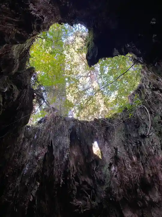 木魂神社(鹿児島県)