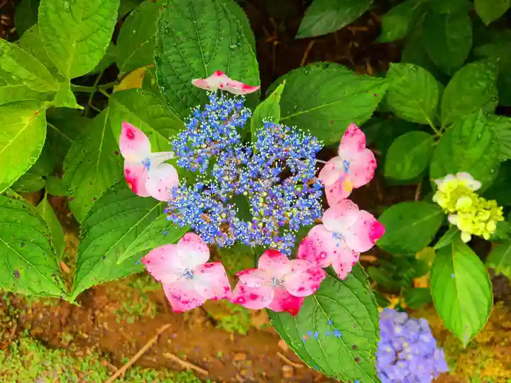 千光寺(福岡県)