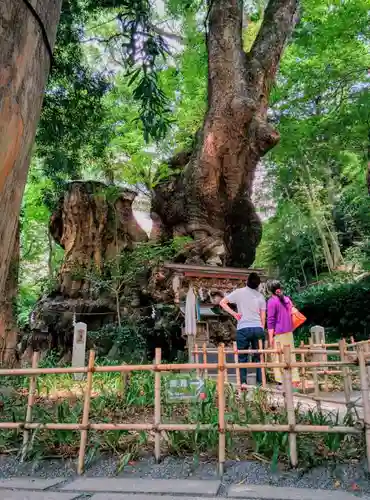 來宮神社の建物その他