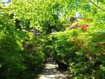 国宝　長寿寺(滋賀県)