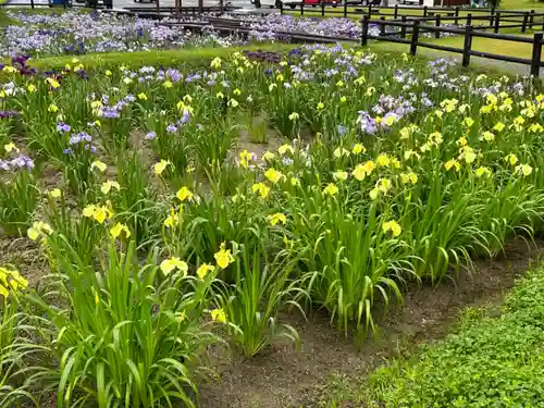 大鏑矢神社(福島県)