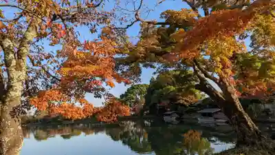 大覚寺(京都府)