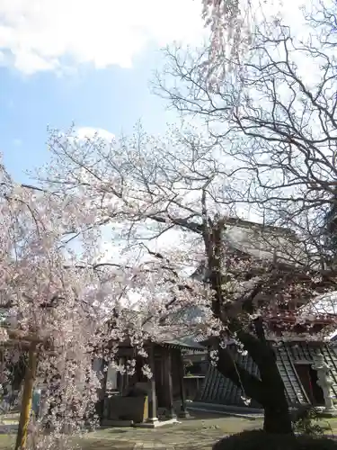 慶龍寺(茨城県)