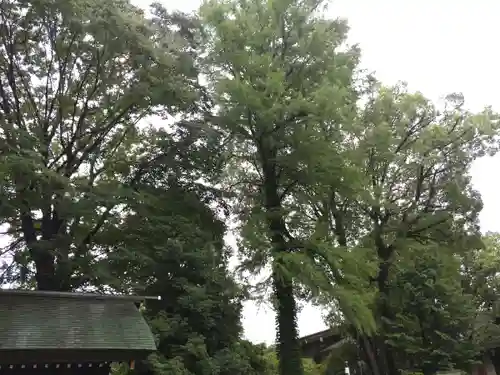 阿佐ヶ谷神明宮(東京都)