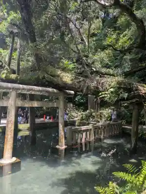 鹿島神宮(茨城県)