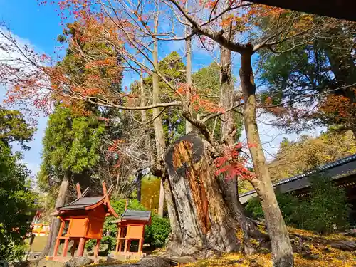 春日大社(奈良県)