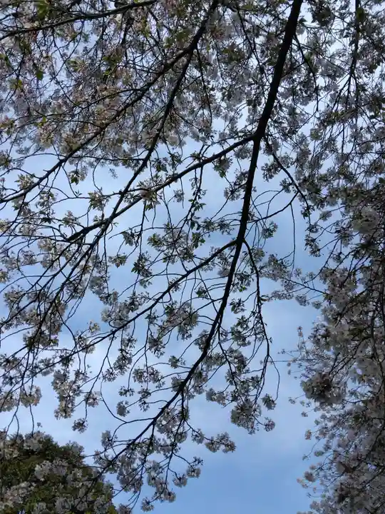 東覺院(東京都)
