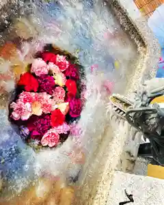 札幌諏訪神社の手水舎(2022年01月09日(日) 11時27分45秒投稿)