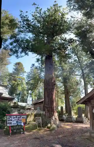 近津神社の{uncategorized: "未分類", other: "その他", undefined: "問題あり", building: "その他建物", grave: "お墓", sacred_gate: "鳥居", guardian: "狛犬", statue: "像", buddha: "仏像", history: "歴史", nature: "自然", garden: "庭園", animal: "動物", pagoda: "塔", temizu: "手水舎", mountain_gate: "山門・神門", sanctuary: "本殿・本堂", subordinate: "末社・摂社", art: "芸術", scenery: "景色", jizo: "地蔵", ema: "絵馬", goshuin: "御朱印", omikuji: "おみくじ", items: "授与品その他", amulet: "お守り", goshuincho: "御朱印帳", eats: "食事", festival: "お祭り", votive_dance: "神楽", shichigosan: "七五三参", wedding: "結婚式", experience: "体験その他", initially: "初詣", around: "周辺", anti_infection: "感染症対策"}